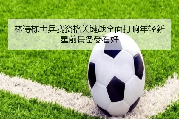 林诗栋世乒赛资格关键战全面打响年轻新星前景备受看好
